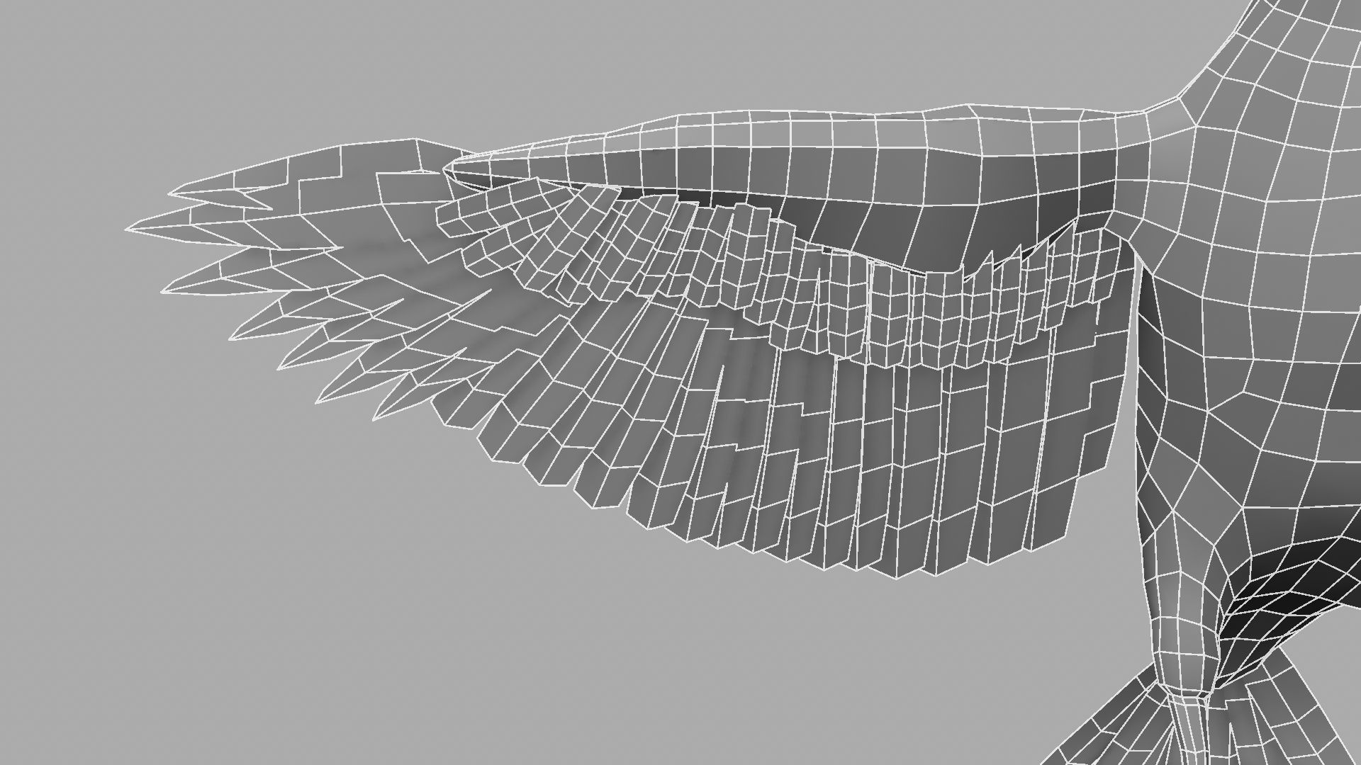 3D Crow raven with wings spread 3D model_19