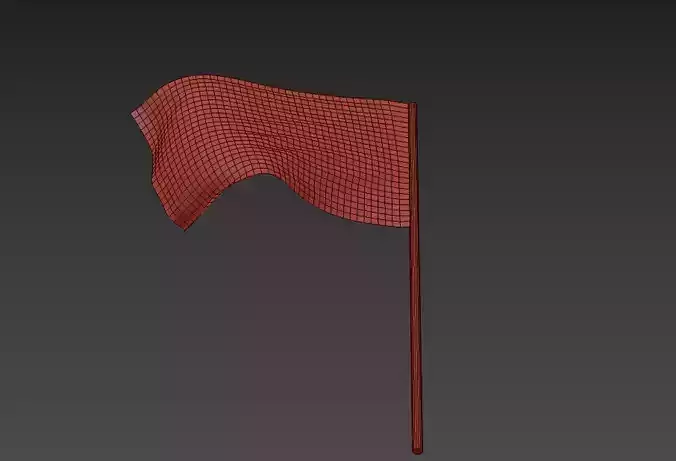 Flag Simulation 3D model
