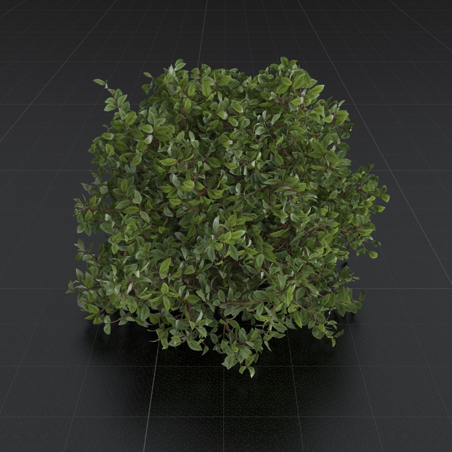 Bush Set 01 Azalea 3D model_3