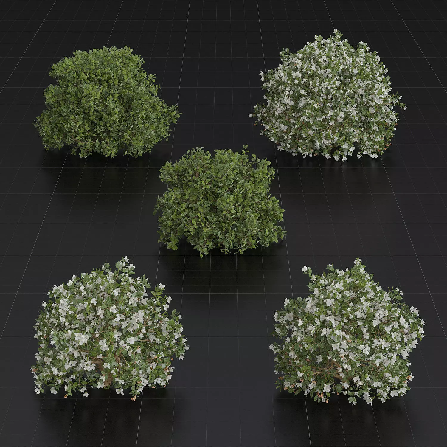 Bush Set 01 Azalea 3D model_0