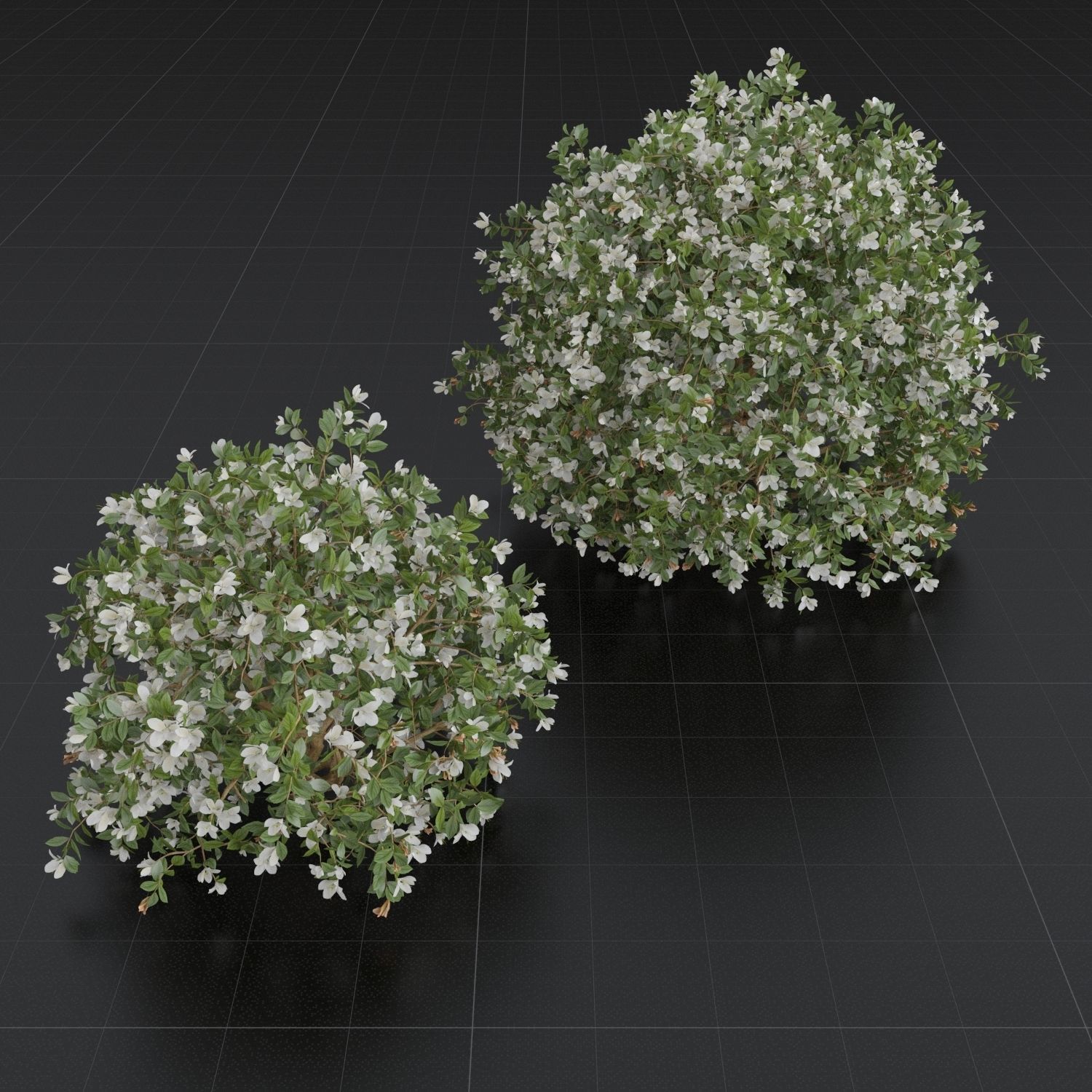 Bush Set 01 Azalea 3D model_4