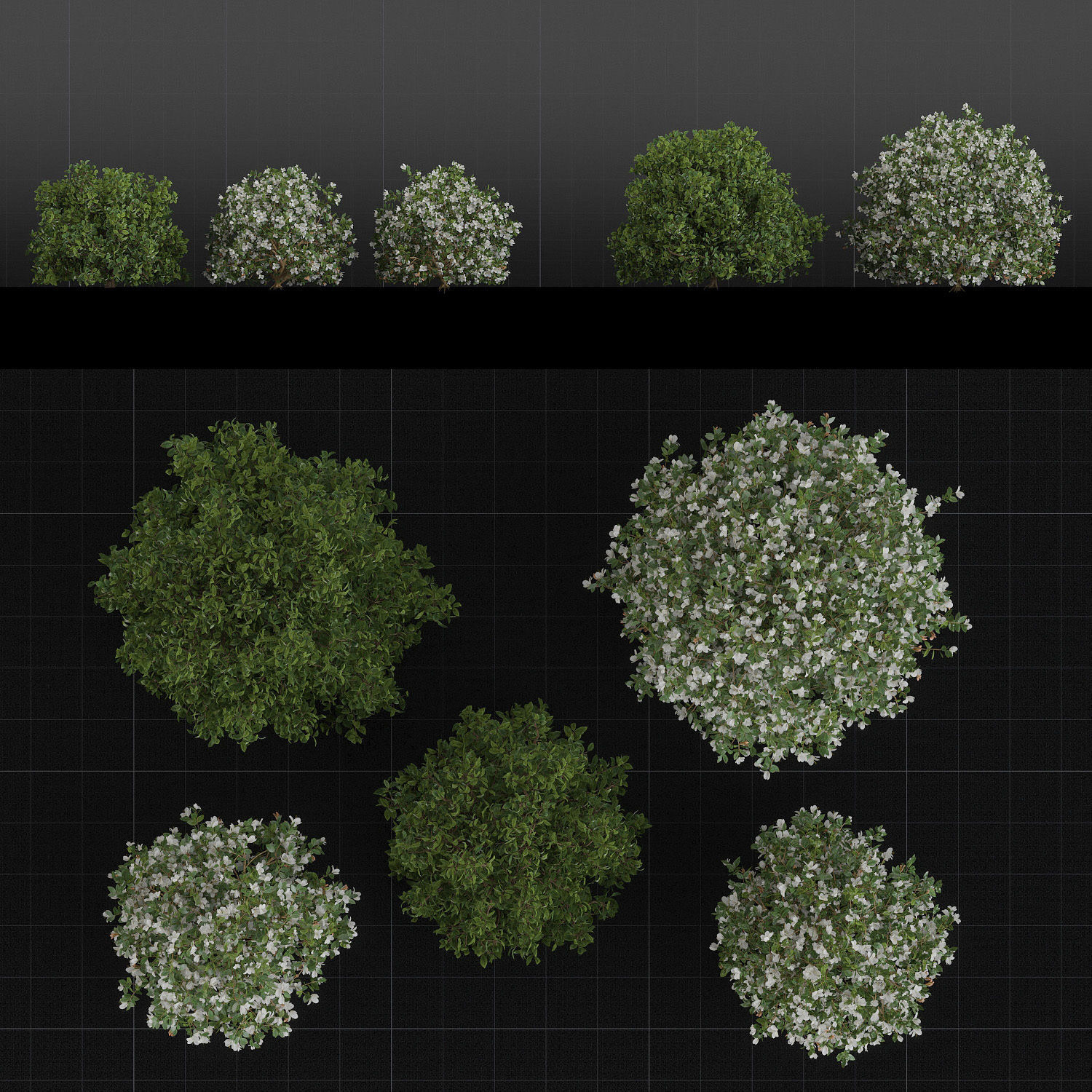 Bush Set 01 Azalea 3D model_1