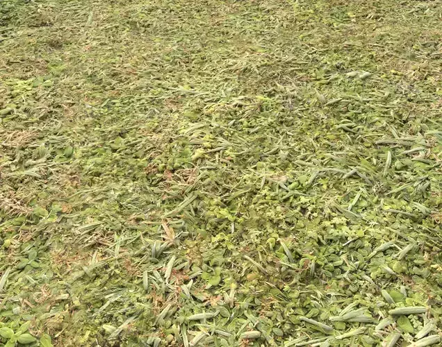 Forest Terrain Pack PBR 16