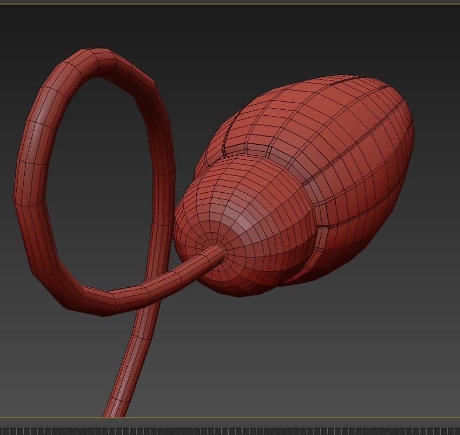 Attributed to Arredoluce 3D model_3