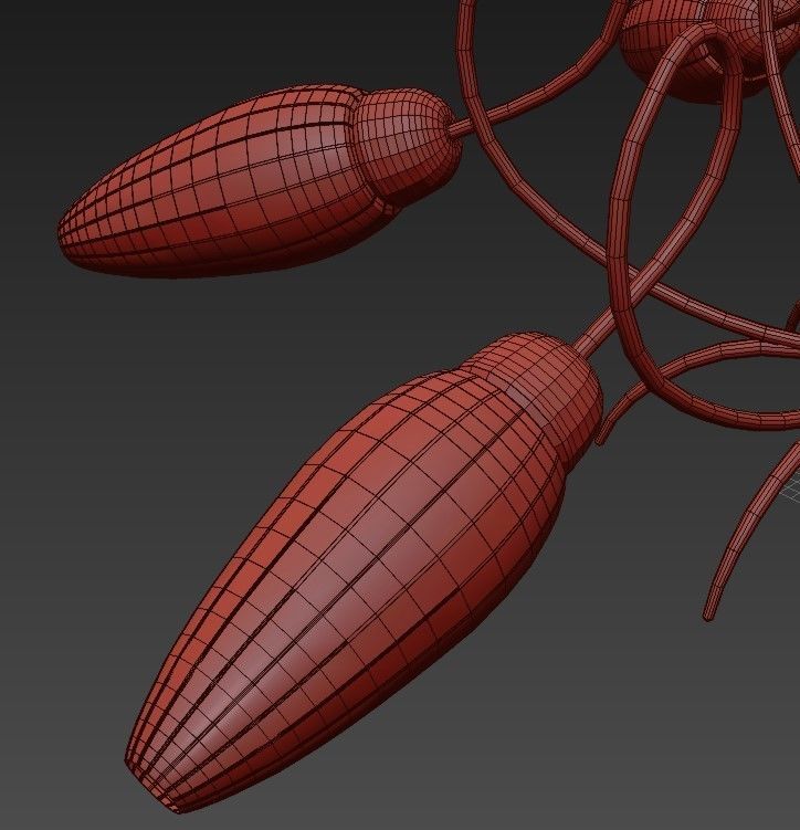 Attributed to Arredoluce 3D model_1