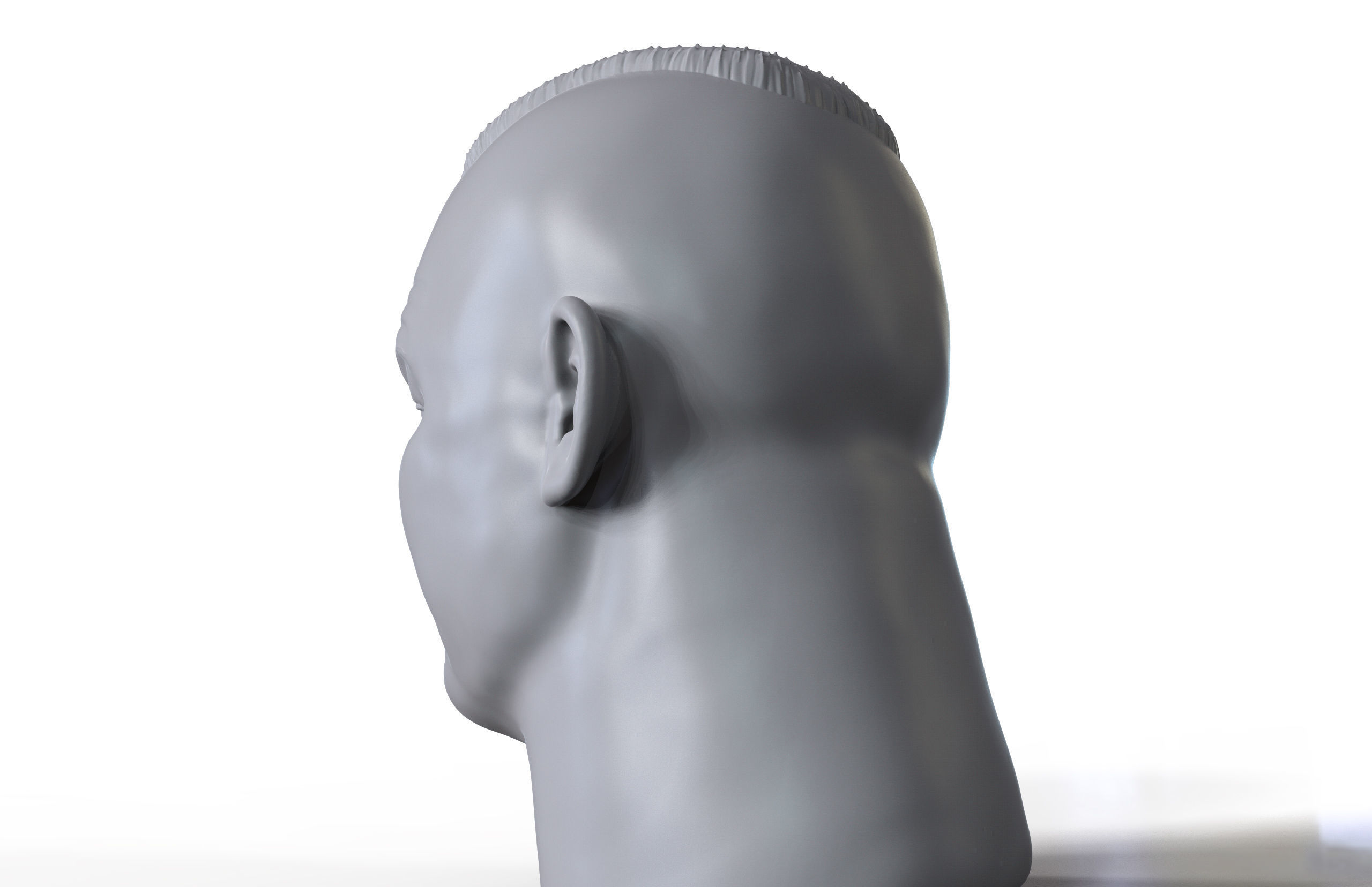 Vigvid Korka 3D printable portrait sculpt 3D print model_7