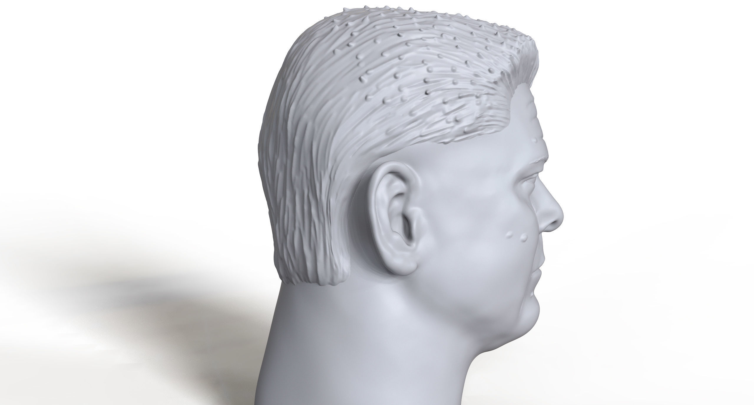 Ninnie Alvin 3D printable portrait  3D print model_5