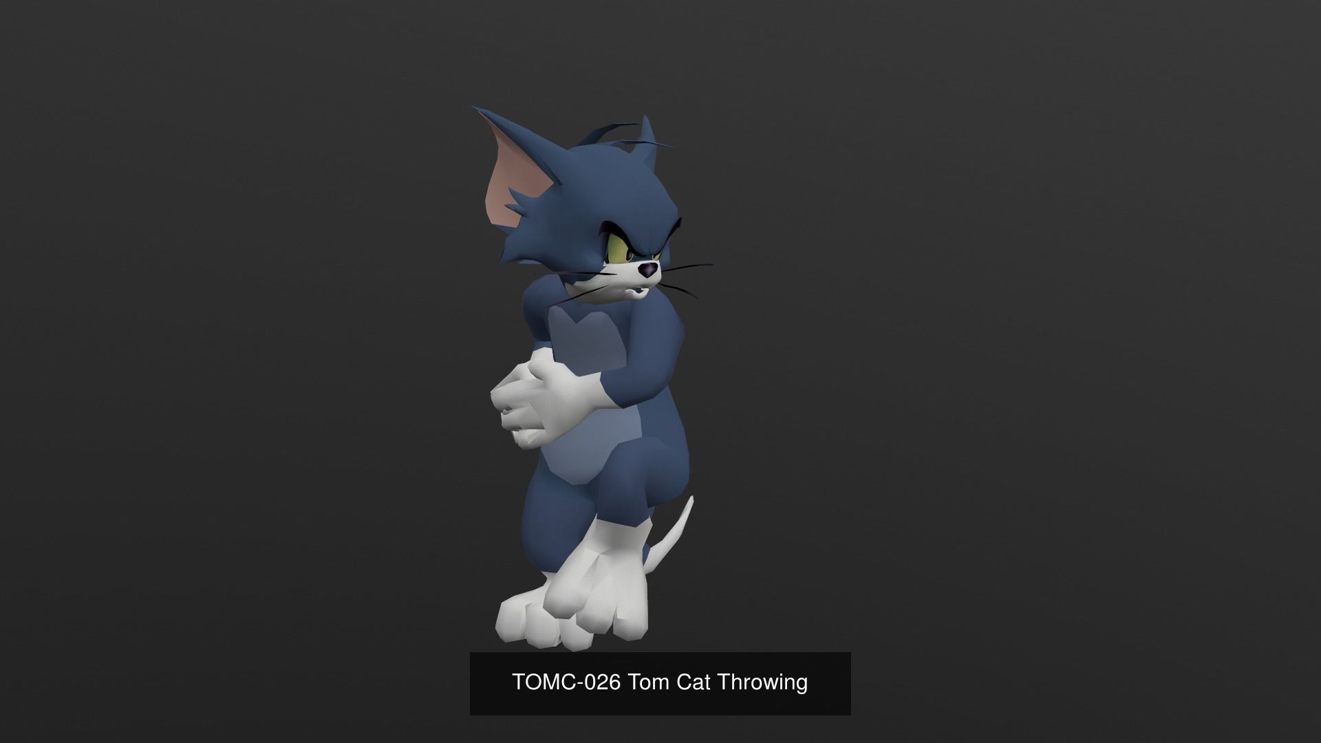 Tom Cat Bundle 3D Model Collection_67