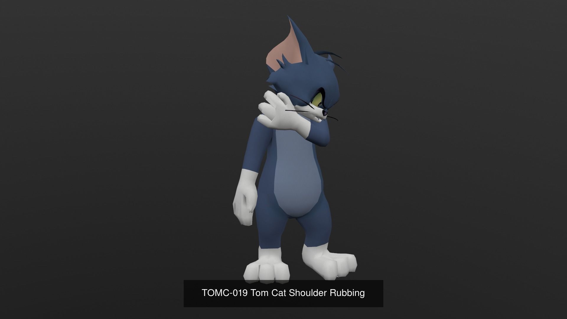 Tom Cat Bundle 3D Model Collection_60