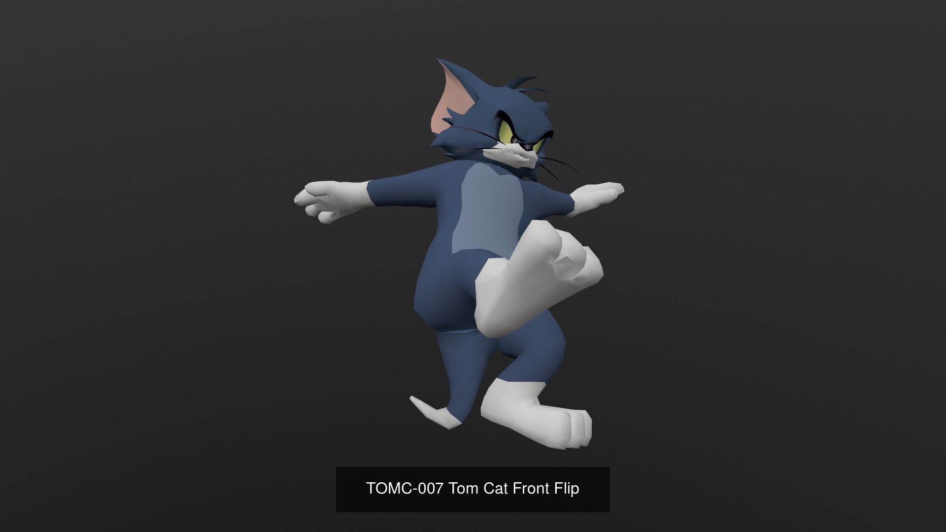 Tom Cat Bundle 3D Model Collection_48