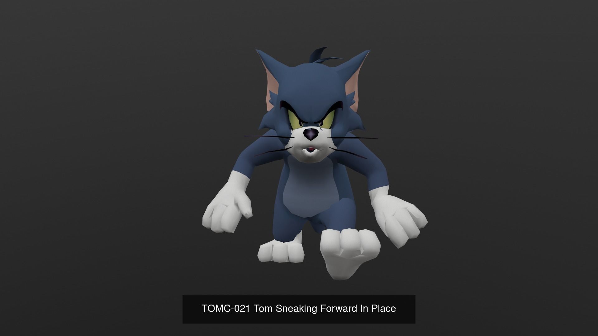 Tom Cat Bundle 3D Model Collection_62