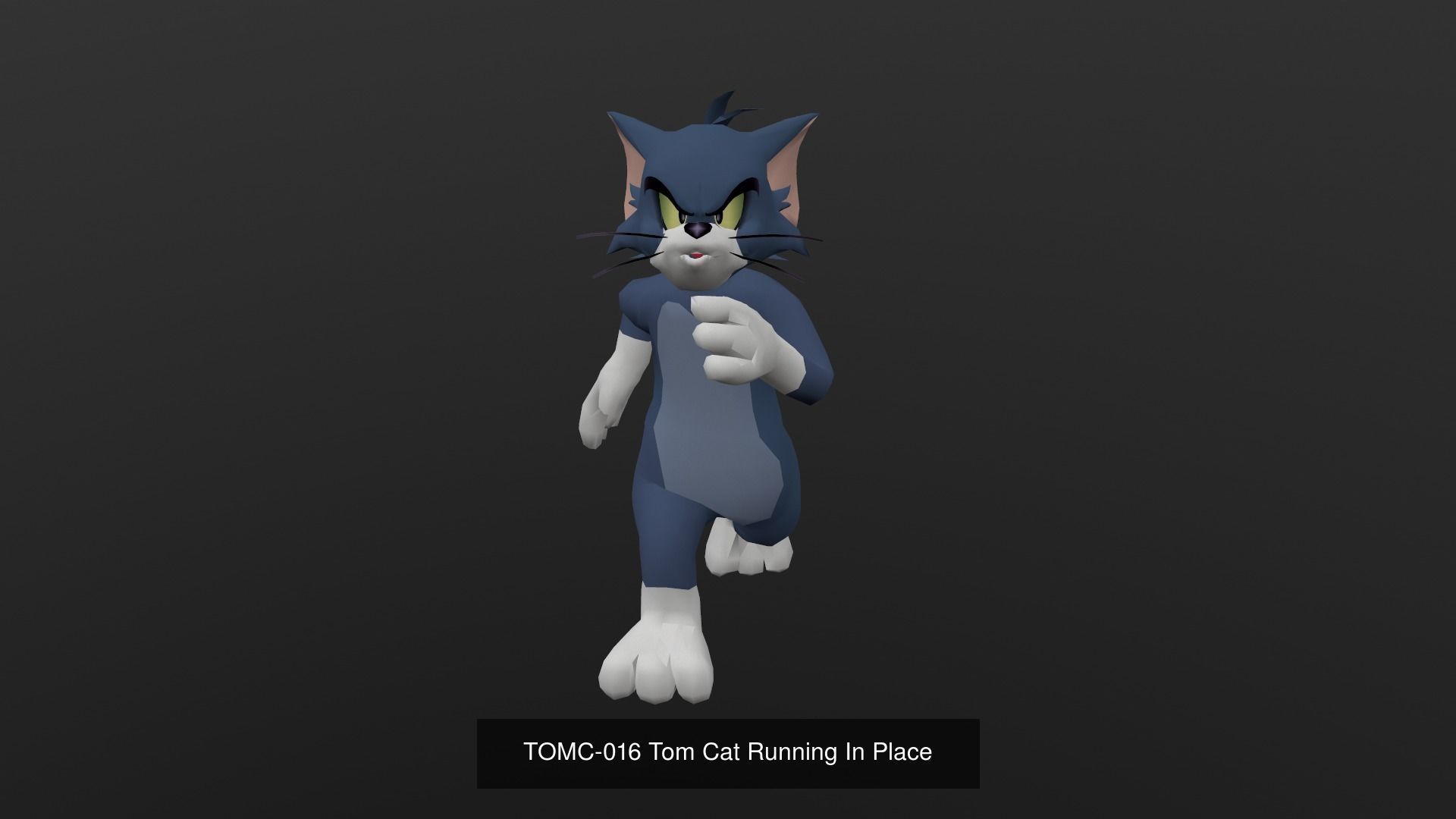 Tom Cat Bundle 3D Model Collection_57