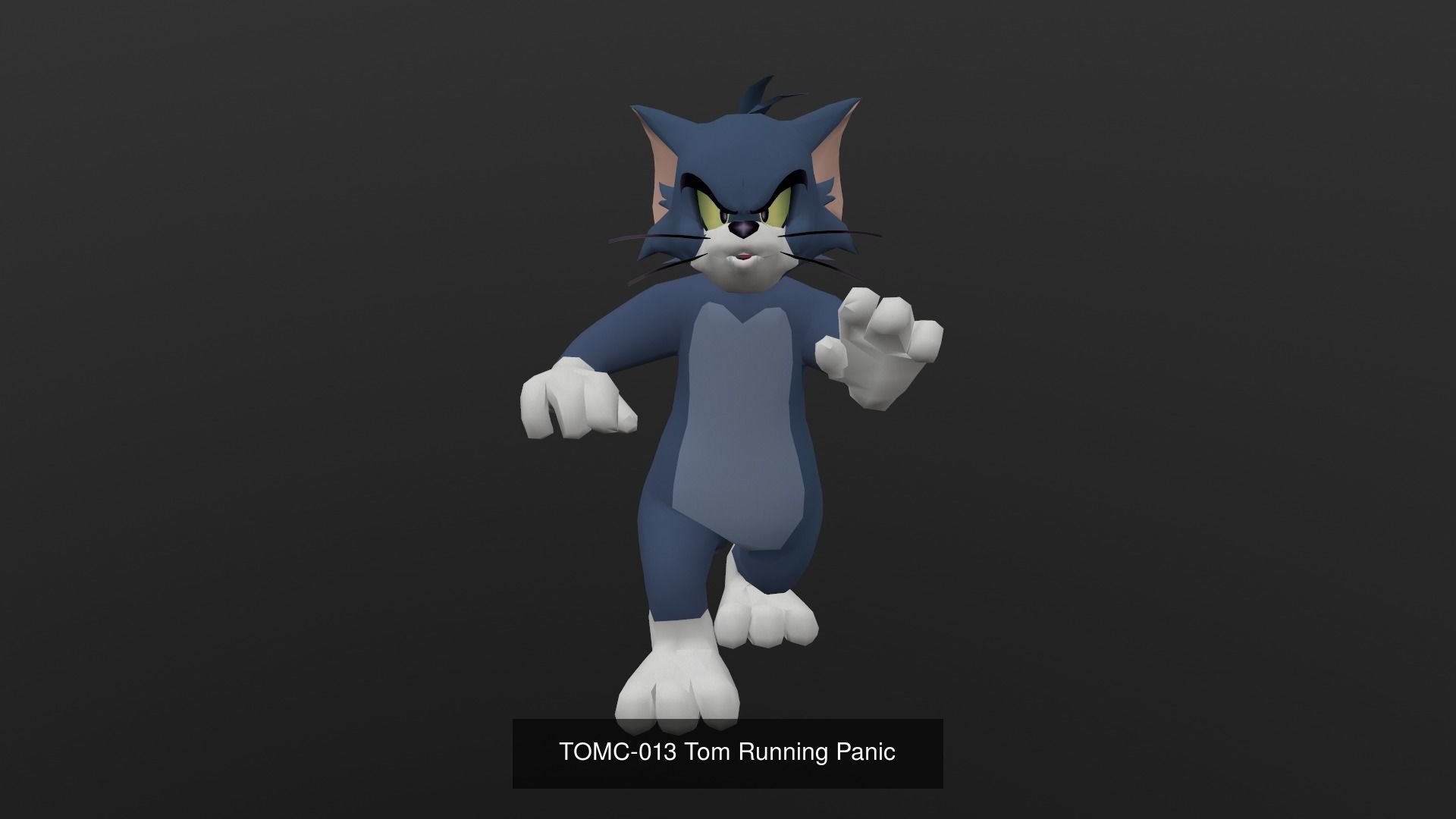 Tom Cat Bundle 3D Model Collection_54