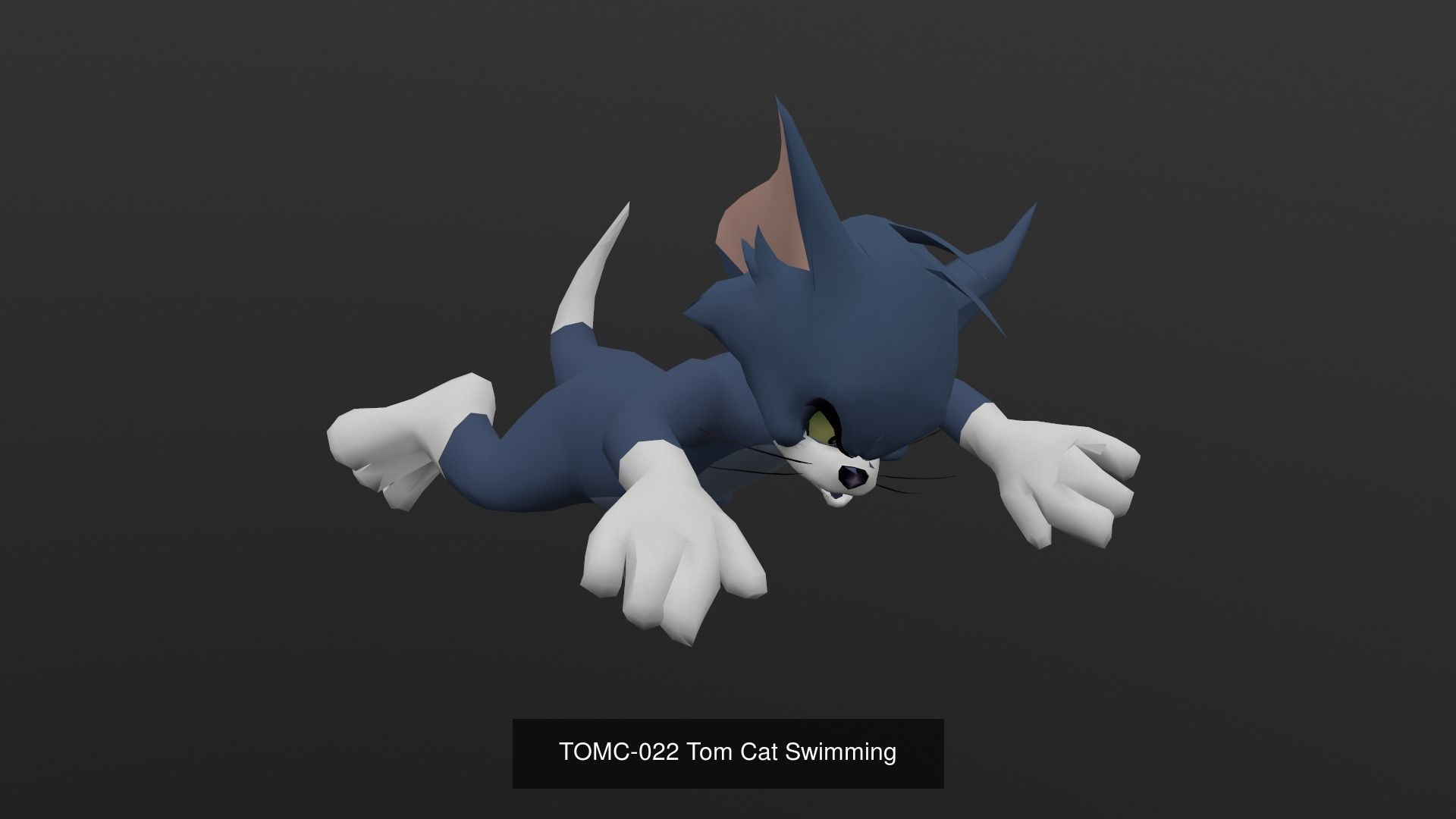Tom Cat Bundle 3D Model Collection_63