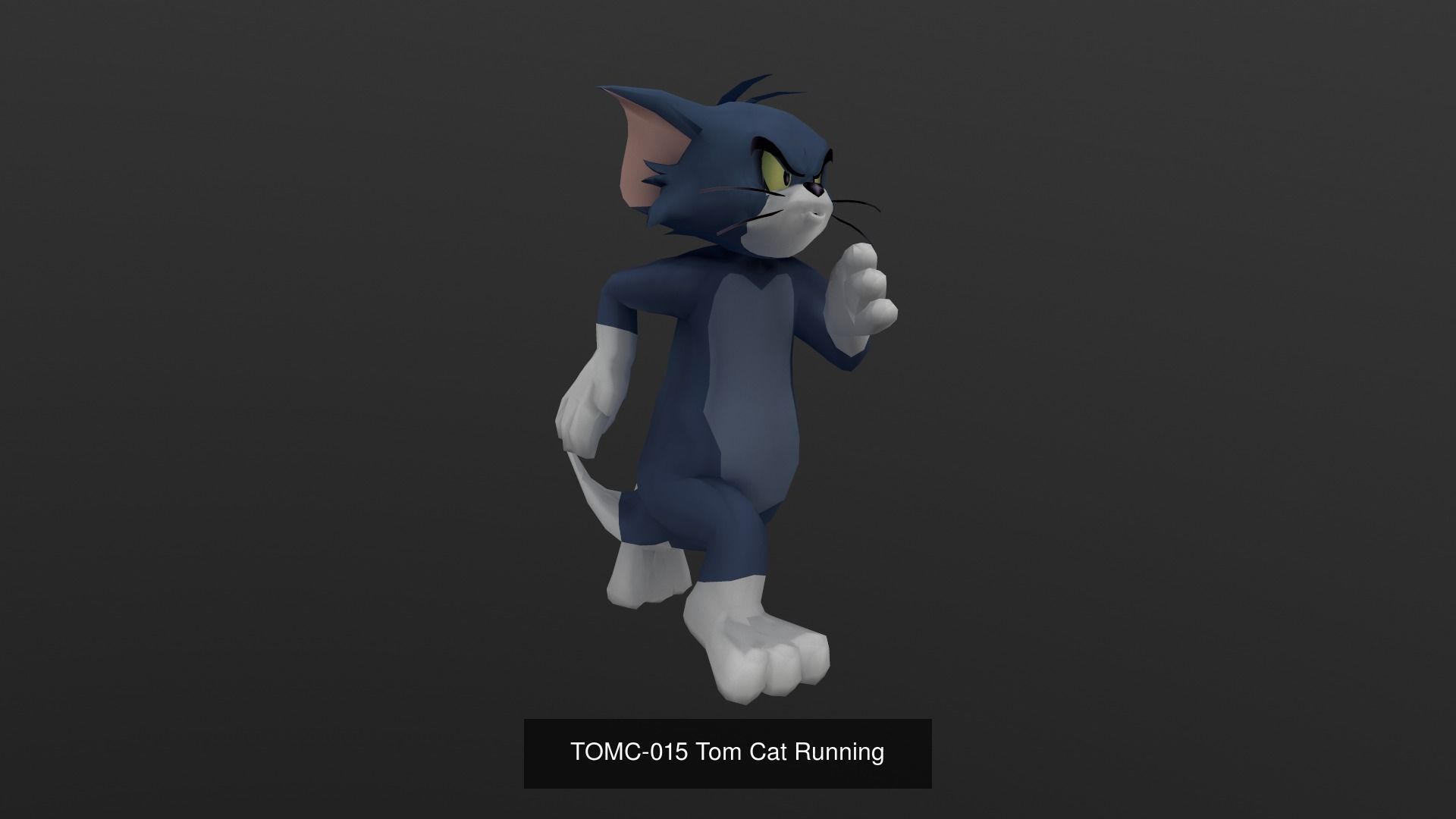Tom Cat Bundle 3D Model Collection_56