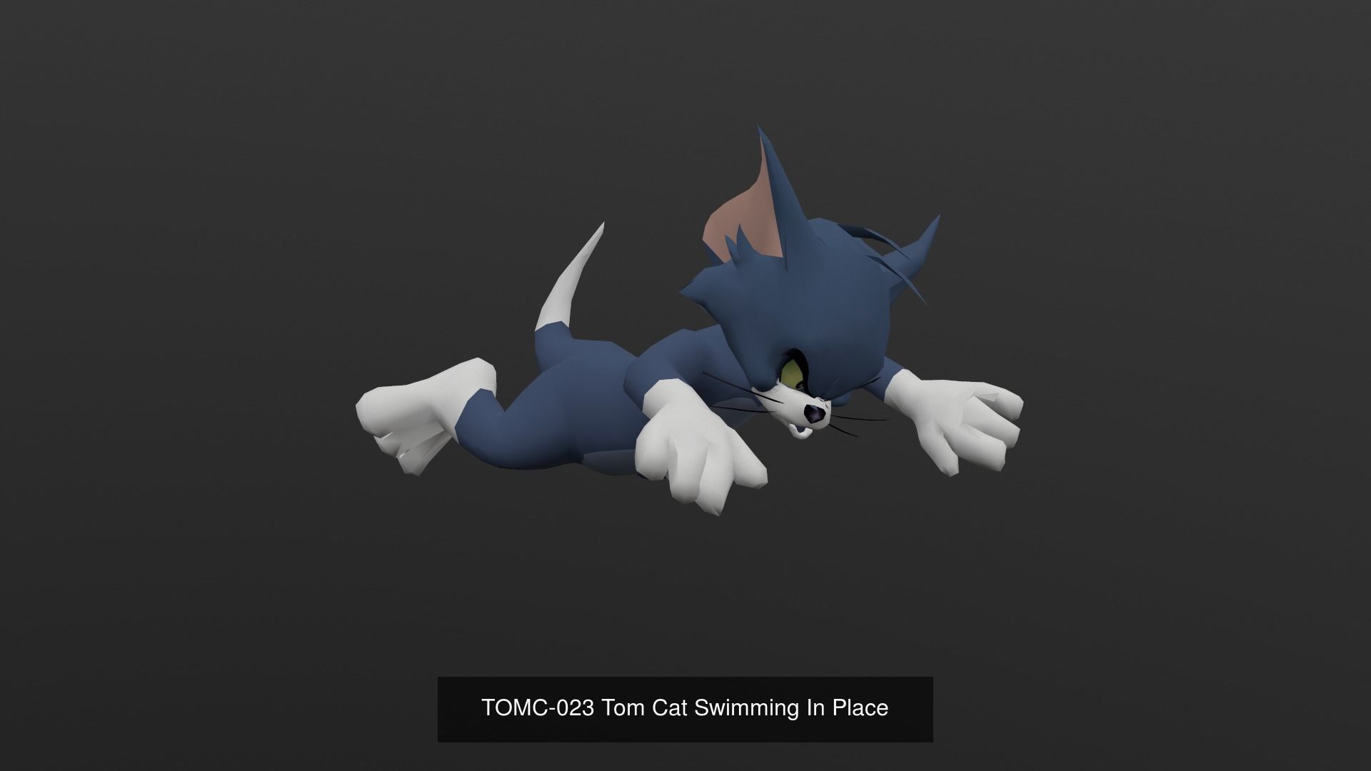 Tom Cat Bundle 3D Model Collection_64