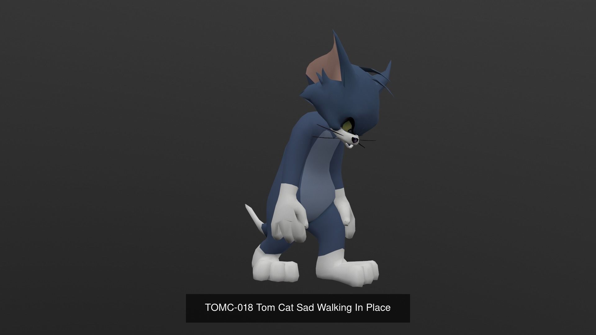 Tom Cat Bundle 3D Model Collection_59