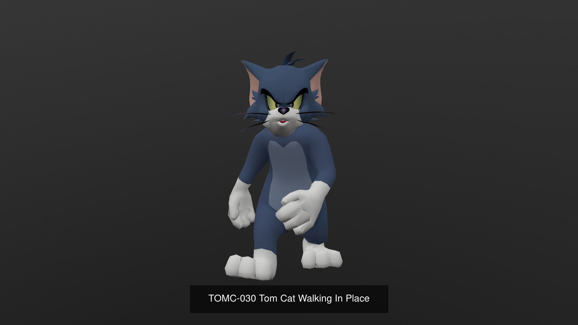Tom Cat Bundle 3D Model Collection_71