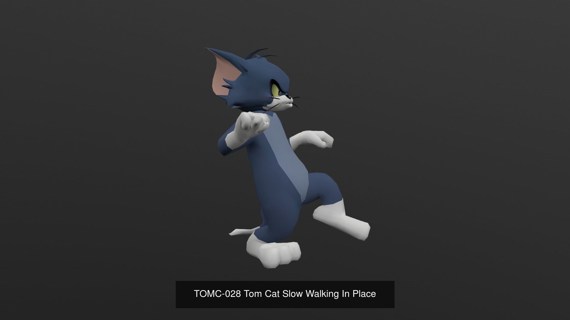 Tom Cat Bundle 3D Model Collection_69