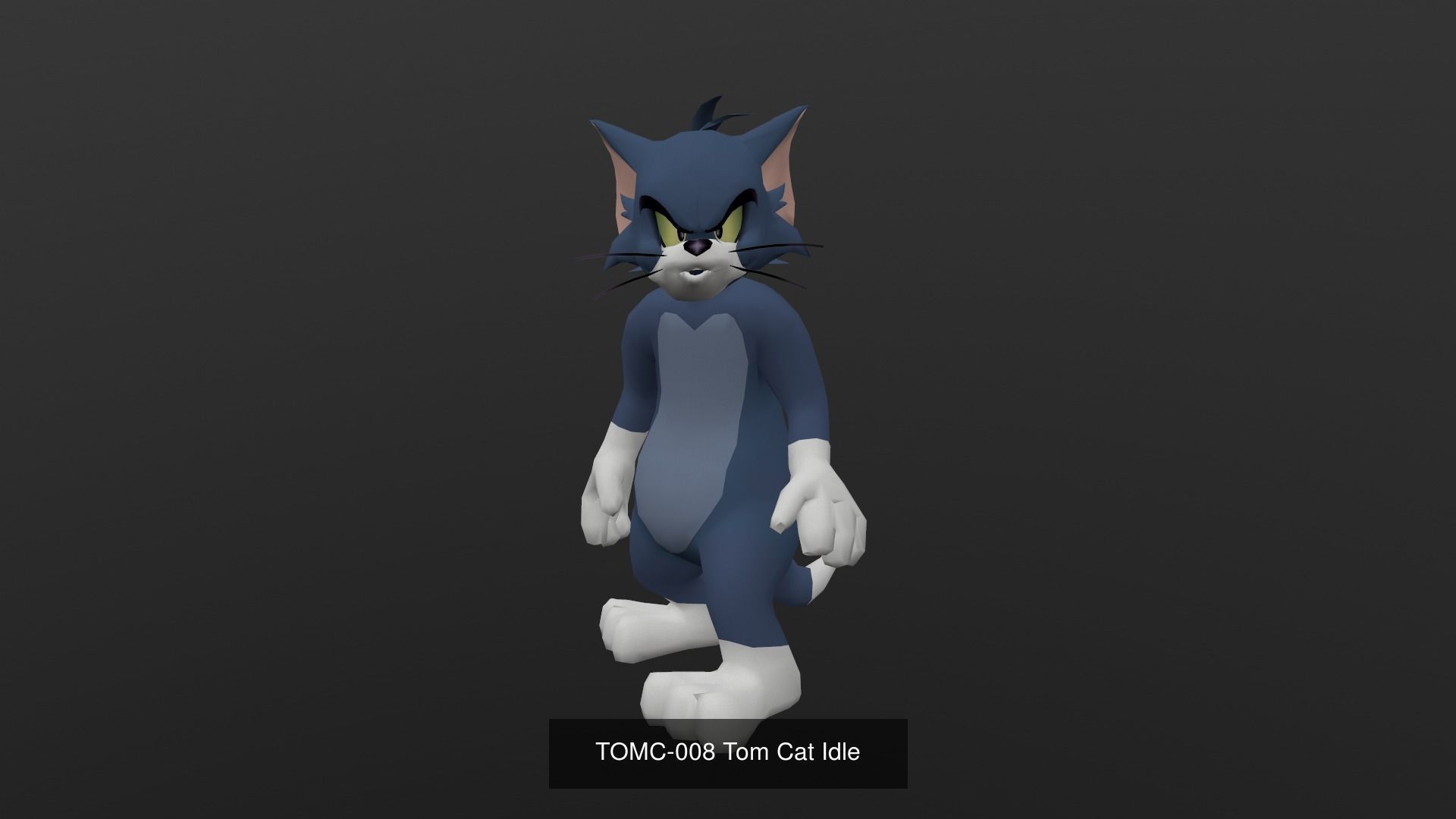 Tom Cat Bundle 3D Model Collection_49