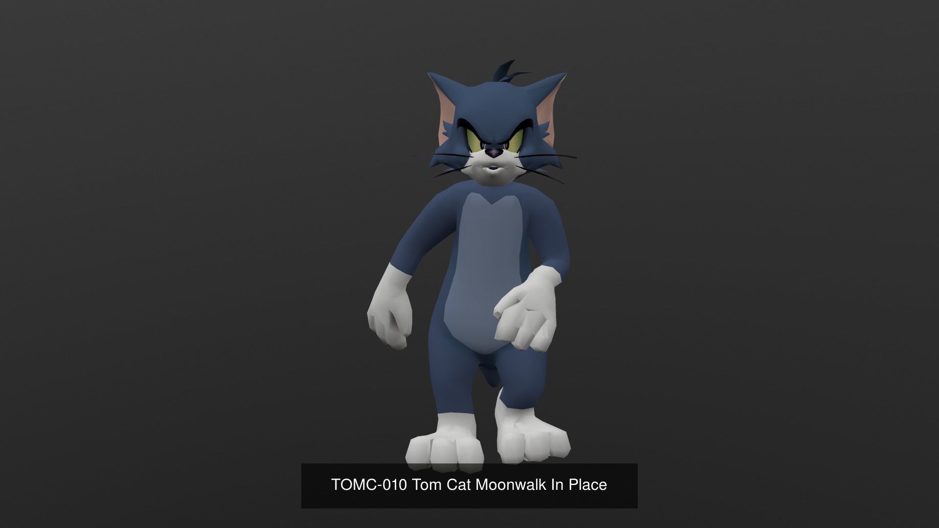 Tom Cat Bundle 3D Model Collection_51