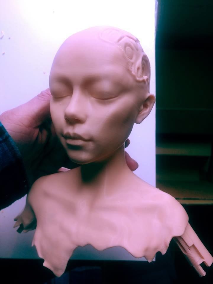 alita battle angel scrap 3D print model_2