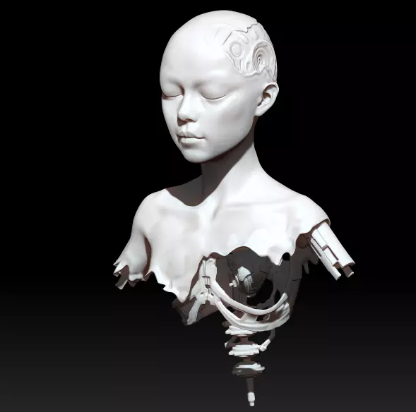 alita battle angel scrap 3D print model_0