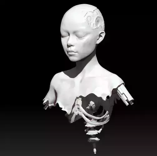 alita battle angel scrap  3D print model