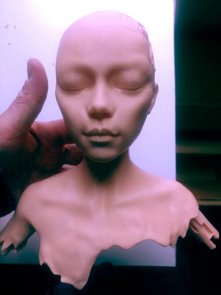 alita battle angel scrap 3D print model_1