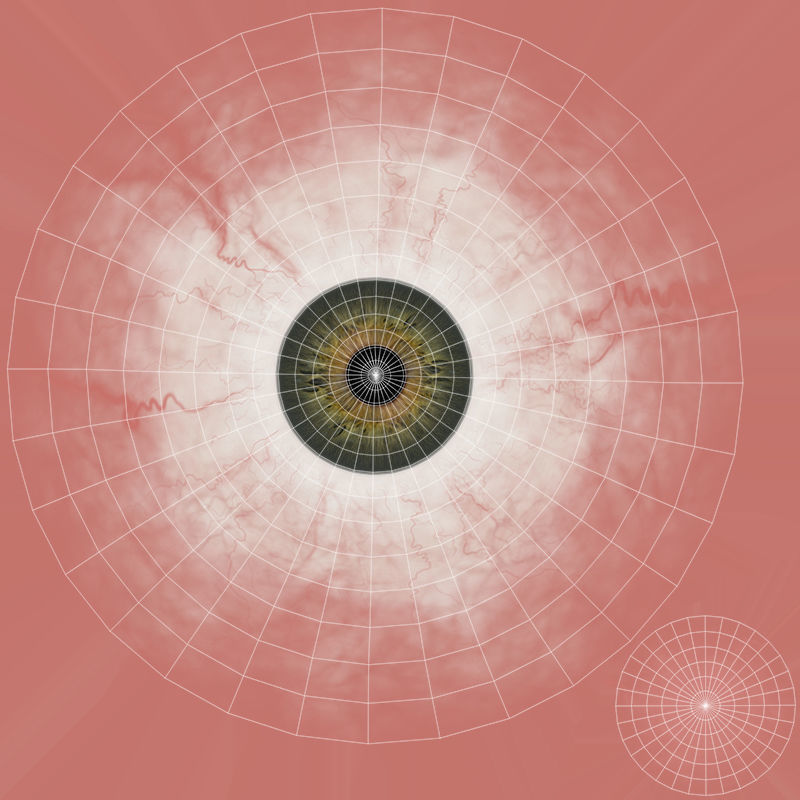 Female Base 3D model_18