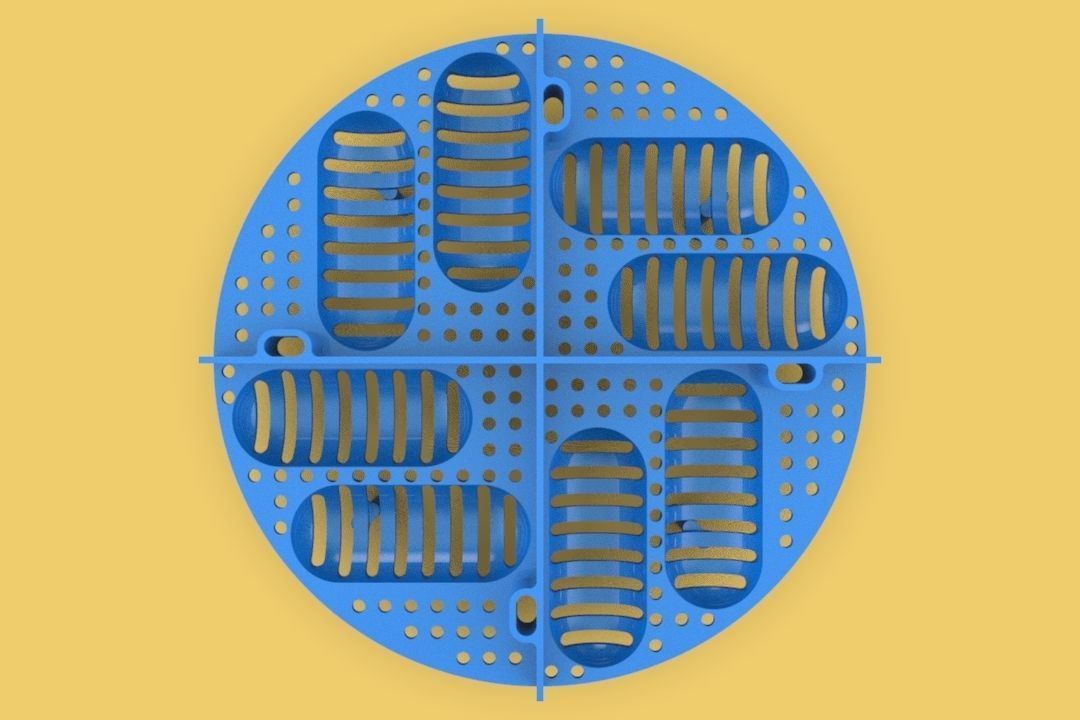 PRINTABLE REPTILE EGG TRAY INCUBATOR 3D print model_6