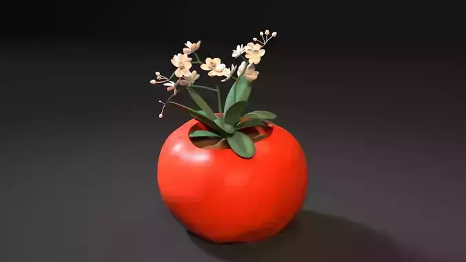 tomato planter