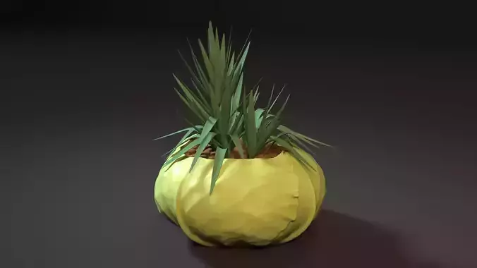  cabbage planter 3D print model