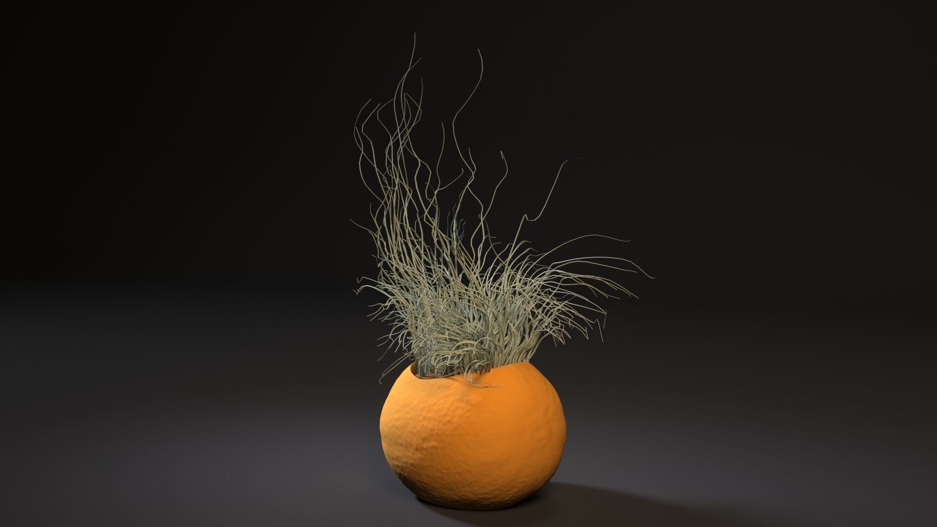 melon planter 3D print model_1