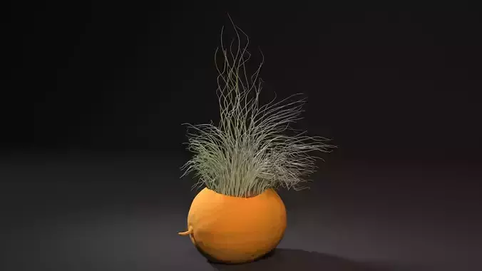 melon planter 3D print model