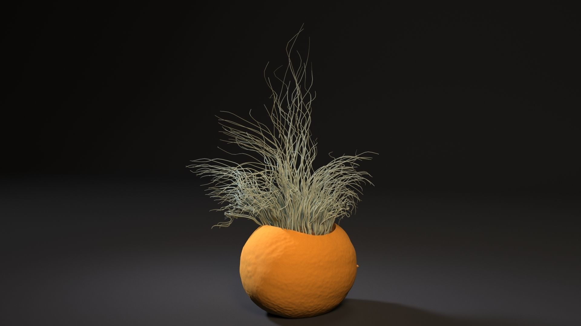 melon planter 3D print model_2