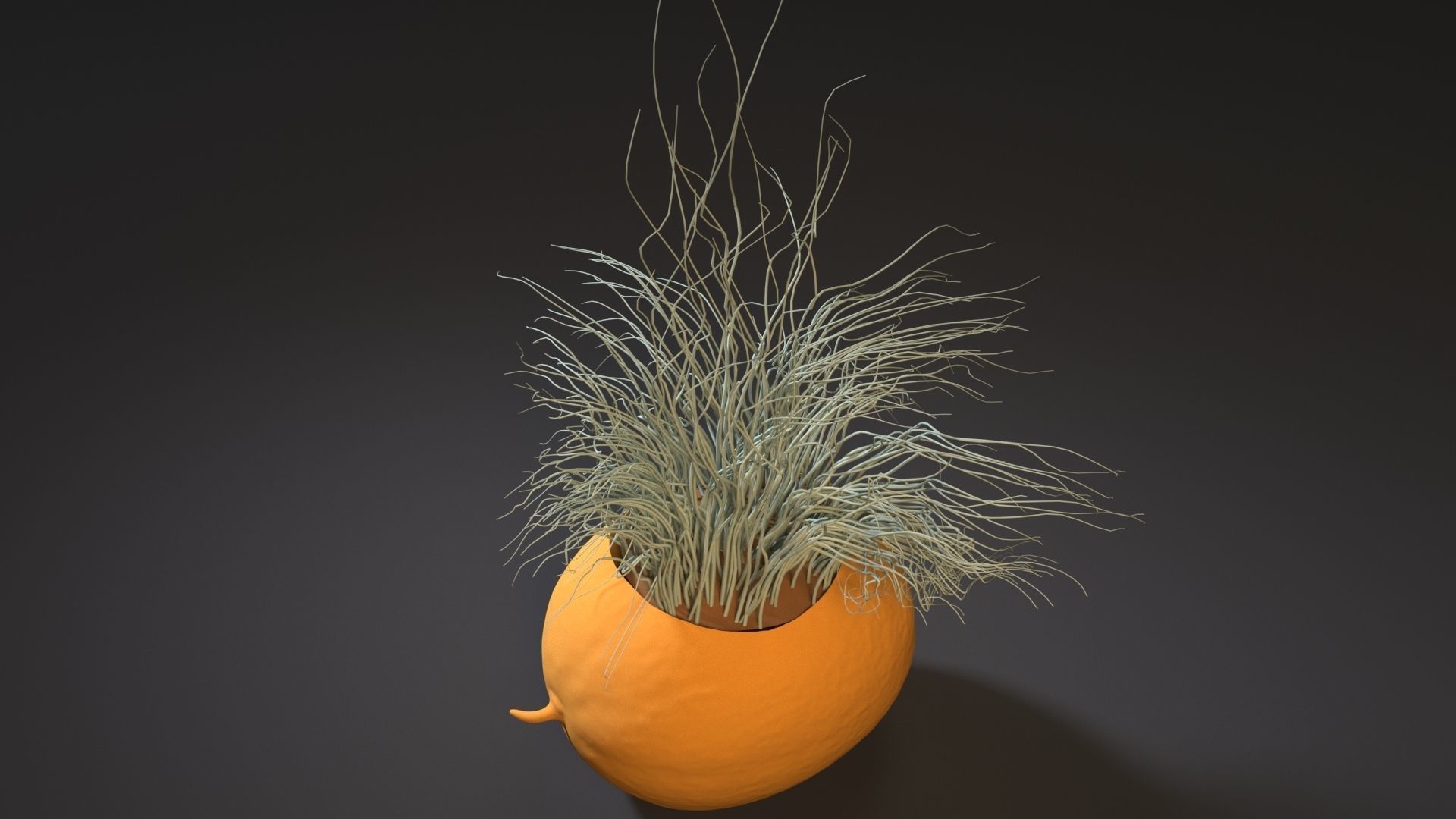 melon planter 3D print model_4