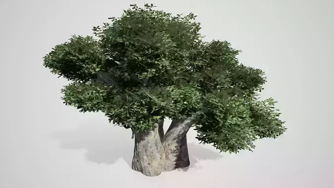 Baobab Tree Low-poly 3D model