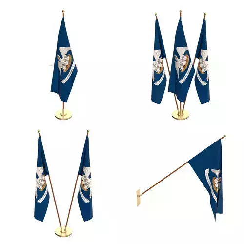 Louisiana Flag Pack