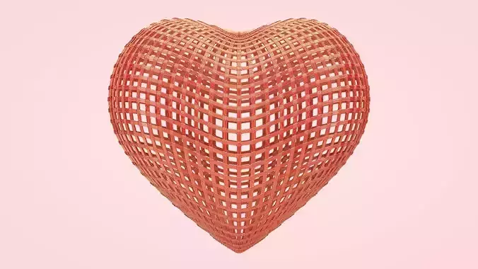 Heart Cage 3D model