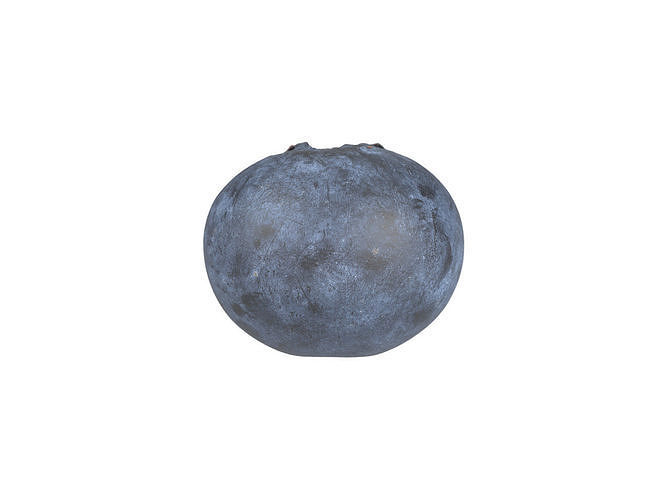 Photorealistic Blueberry 3D Scan 3D model 4