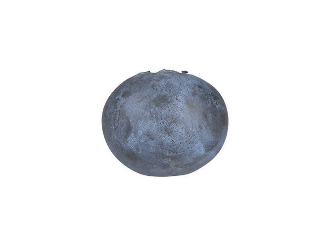 Photorealistic Blueberry 3D Scan 3D model 5