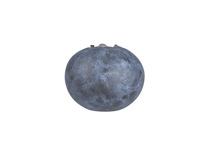 Photorealistic Blueberry 3D Scan 3D model 3