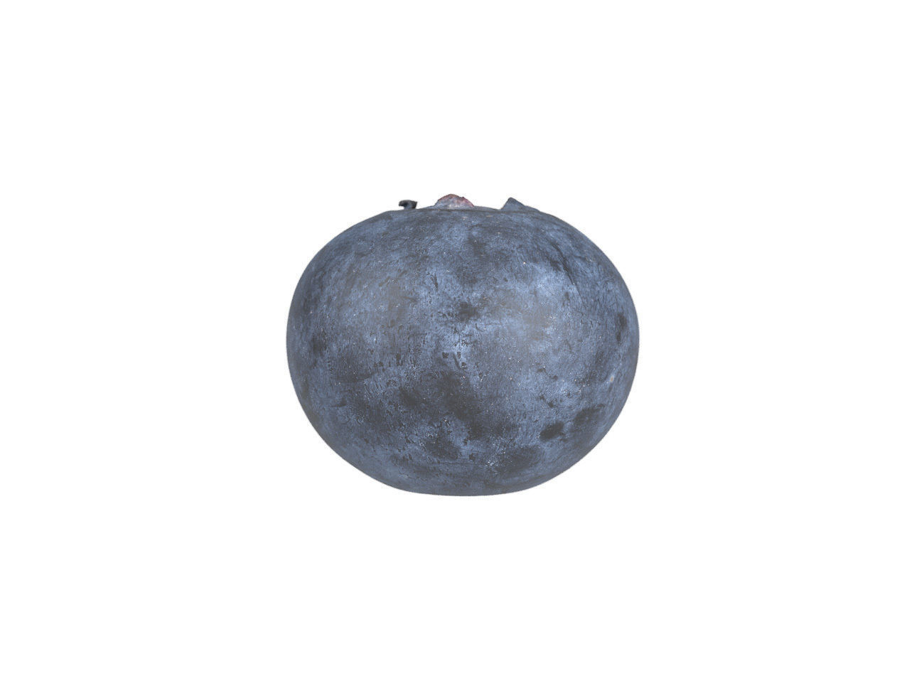 Photorealistic Blueberry 3D Scan 3D model_2