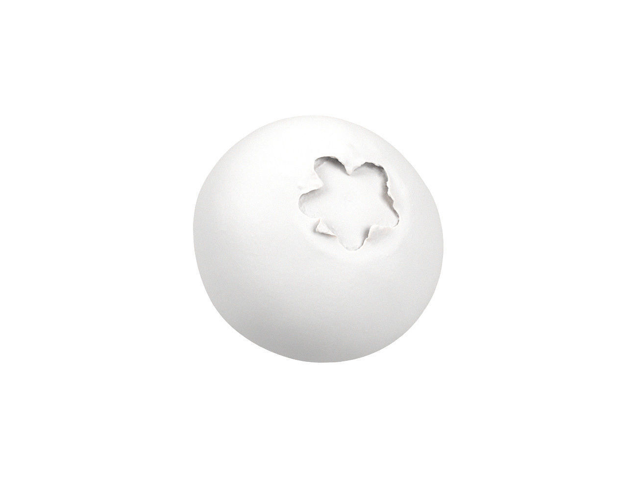 Photorealistic Blueberry 3D Scan 3D model_7
