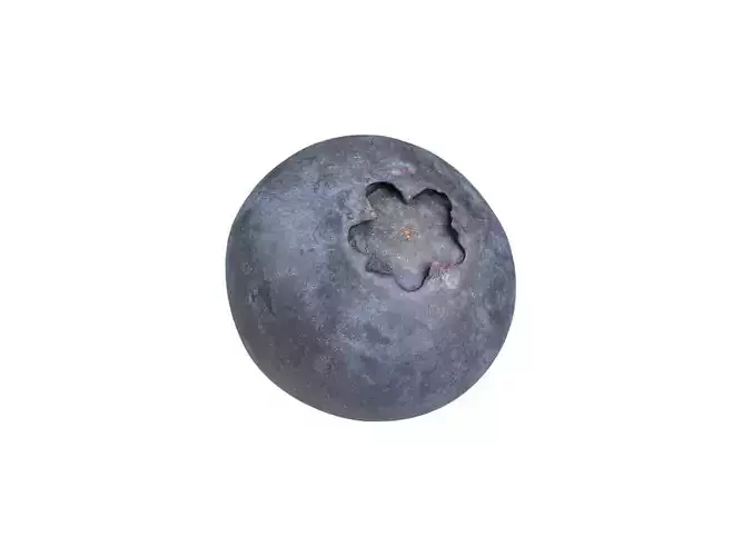 Photorealistic Blueberry 3D Scan 3D model