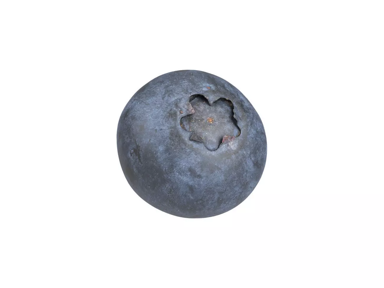 Photorealistic Blueberry 3D Scan 3D model_0