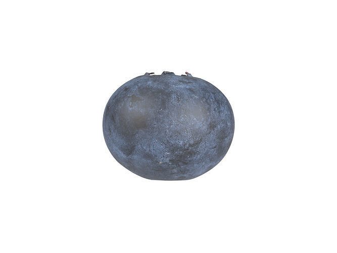 Photorealistic Blueberry 3D Scan 3D model 2