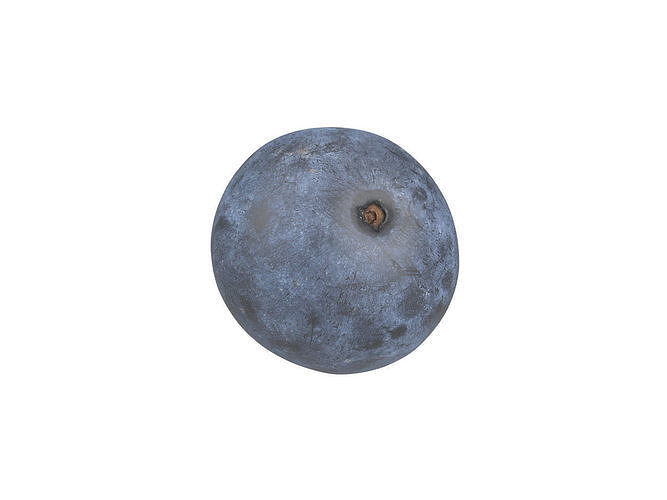 Photorealistic Blueberry 3D Scan 3D model 7