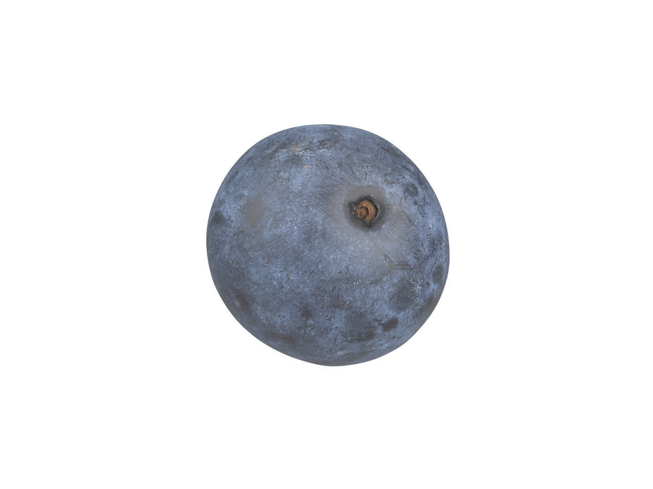 Photorealistic Blueberry 3D Scan 3D model_6